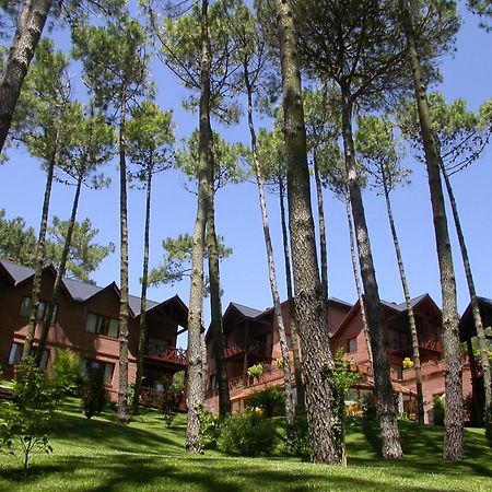 까릴로 Refugio Del Bosque 빌라 외부 사진