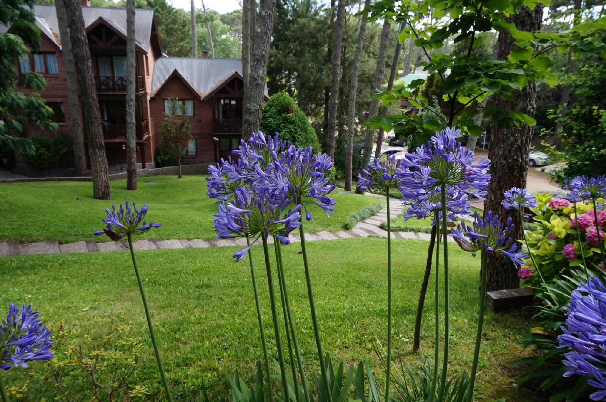 까릴로 Refugio Del Bosque 빌라 외부 사진